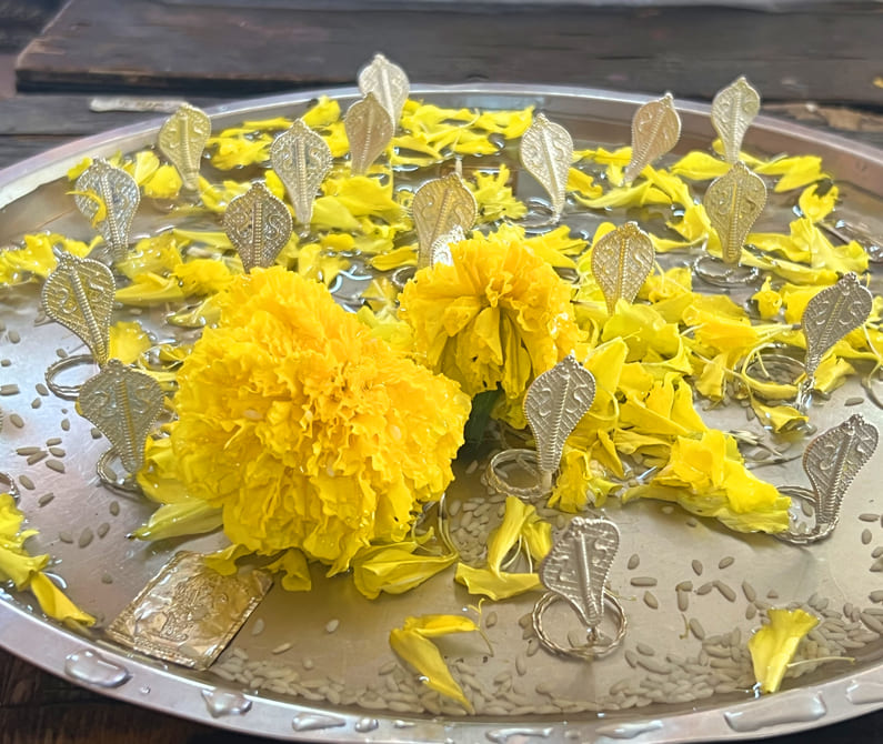 Kalsarp Dosh Nivaran Puja